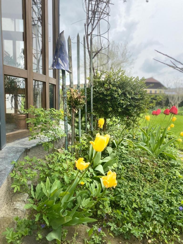 Traumhaft Grosse Ferienwohnung Naehe Attersee Sankt Georgen im Attergau Exterior foto