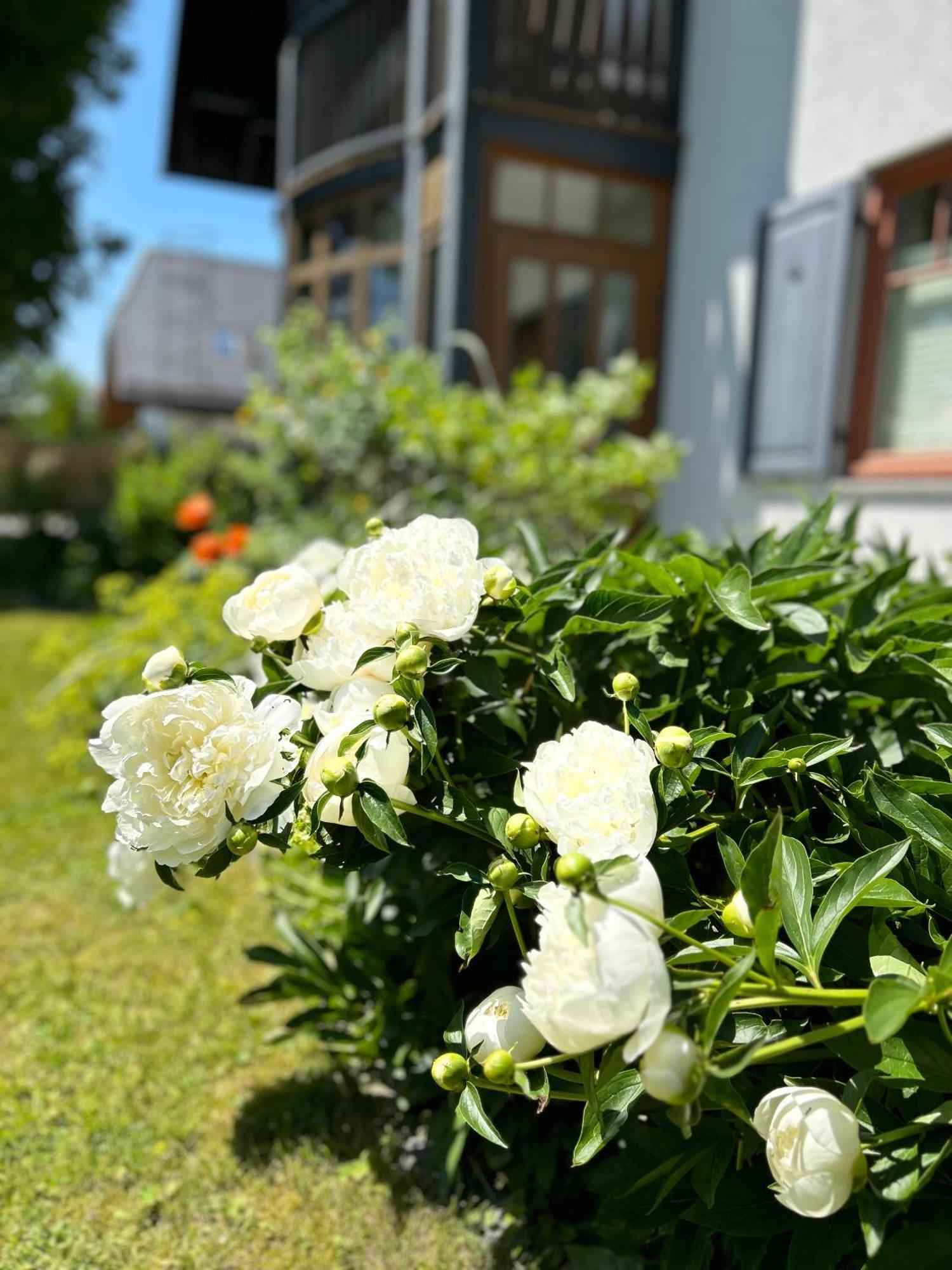 Traumhaft Grosse Ferienwohnung Naehe Attersee Sankt Georgen im Attergau Exterior foto